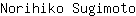 N***o