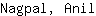 N***l