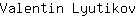 V***v