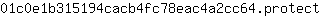 0***t