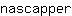 n***r