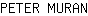 P***N