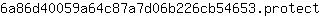 6***t