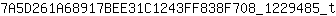 7***t
