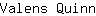 V***n