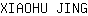 X***G