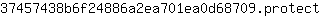 3***t