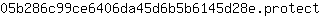 0***t