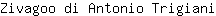 Z***i