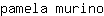 p***o