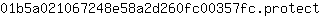 0***t
