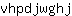 v***j