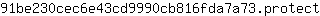 9***t