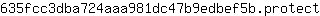 6***t