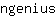 n***s