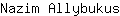 N***s