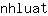 n***t