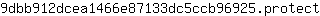 9***t