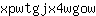 x***w