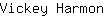 V***n