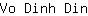 V***n