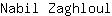 N***l