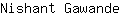 N***e