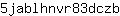 5***b