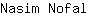 N***l