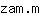 z***m