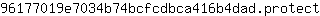 9***t