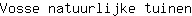 V***n