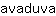 a***a