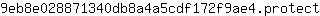 9***t
