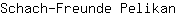 S***n