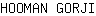 H***I