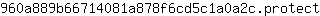 9***t