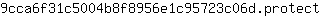9***t