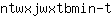 n***t