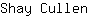 S***n