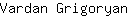 V***n