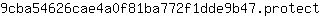 9***t