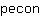 p***n