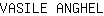 V***L