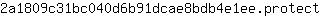 2***t