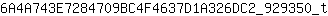 6***t