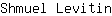 S***n