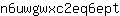 n***t