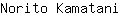 N***i