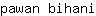 p***i